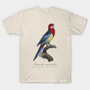 Eastern Rosella Parakeet / Perruche Omnicolore - 19th century Jacques Barraband Illustration T-Shirt